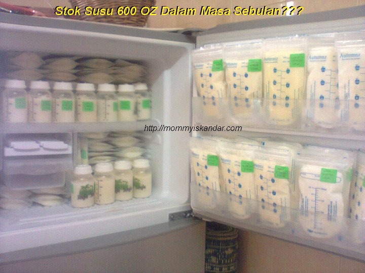 Cara Penyimpanan Susu Ibu (EBM)